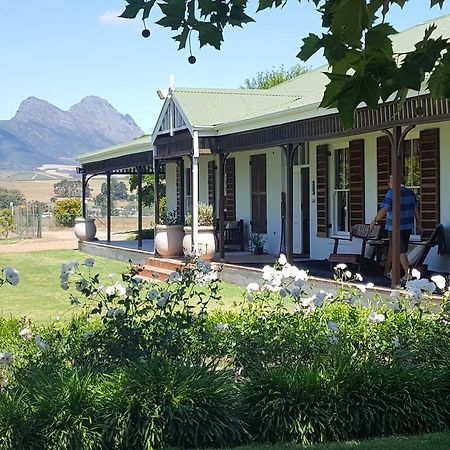 Hoopenburg Guesthouse Stellenbosch Eksteriør billede